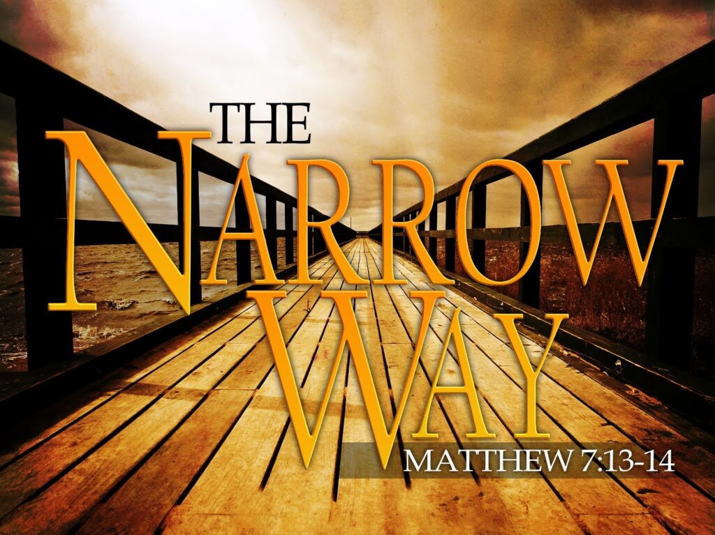 Walking Along The Narrow Way - A. W. Pink