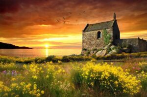 Snare of Service A W Pink